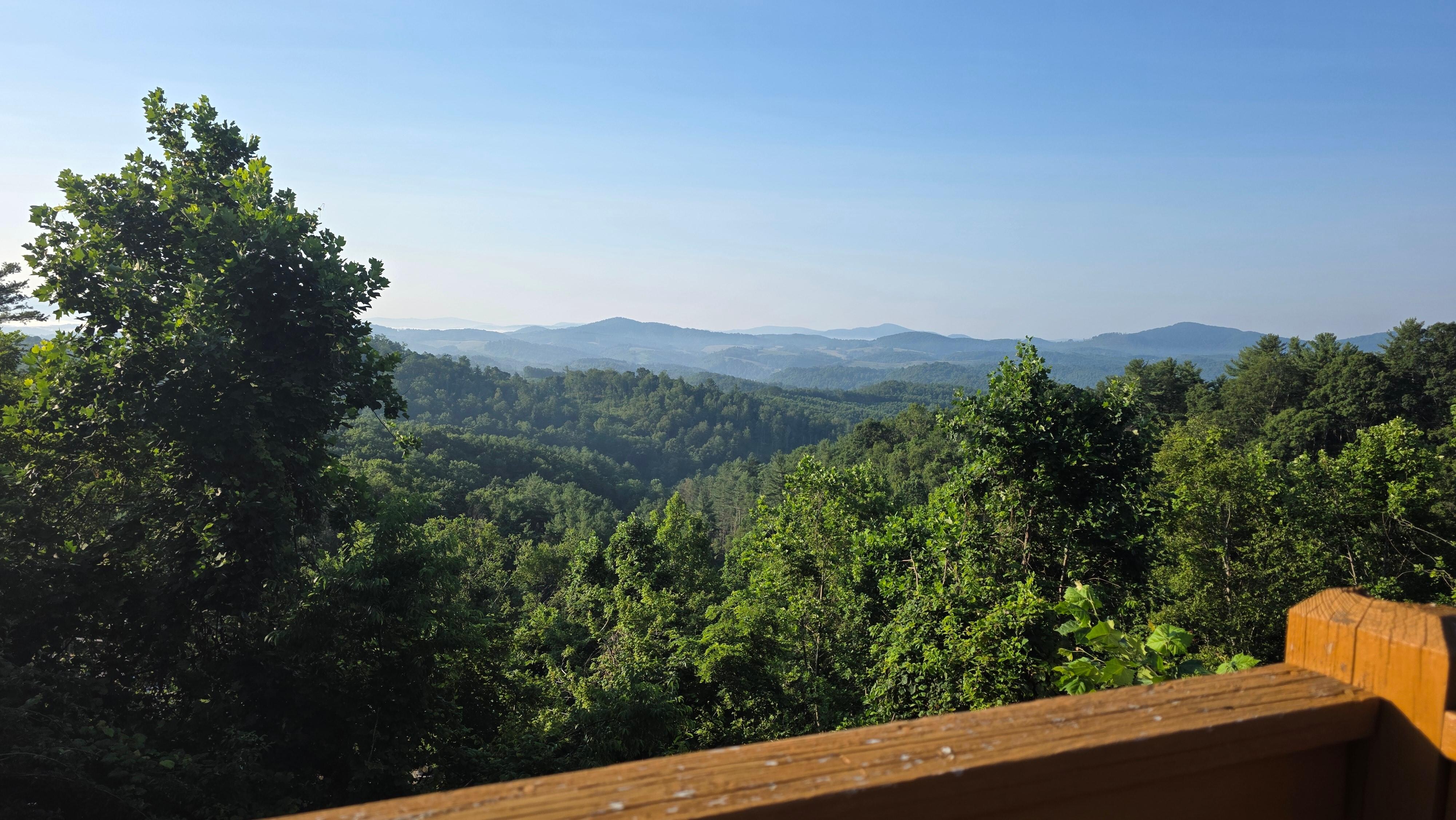 Morning view