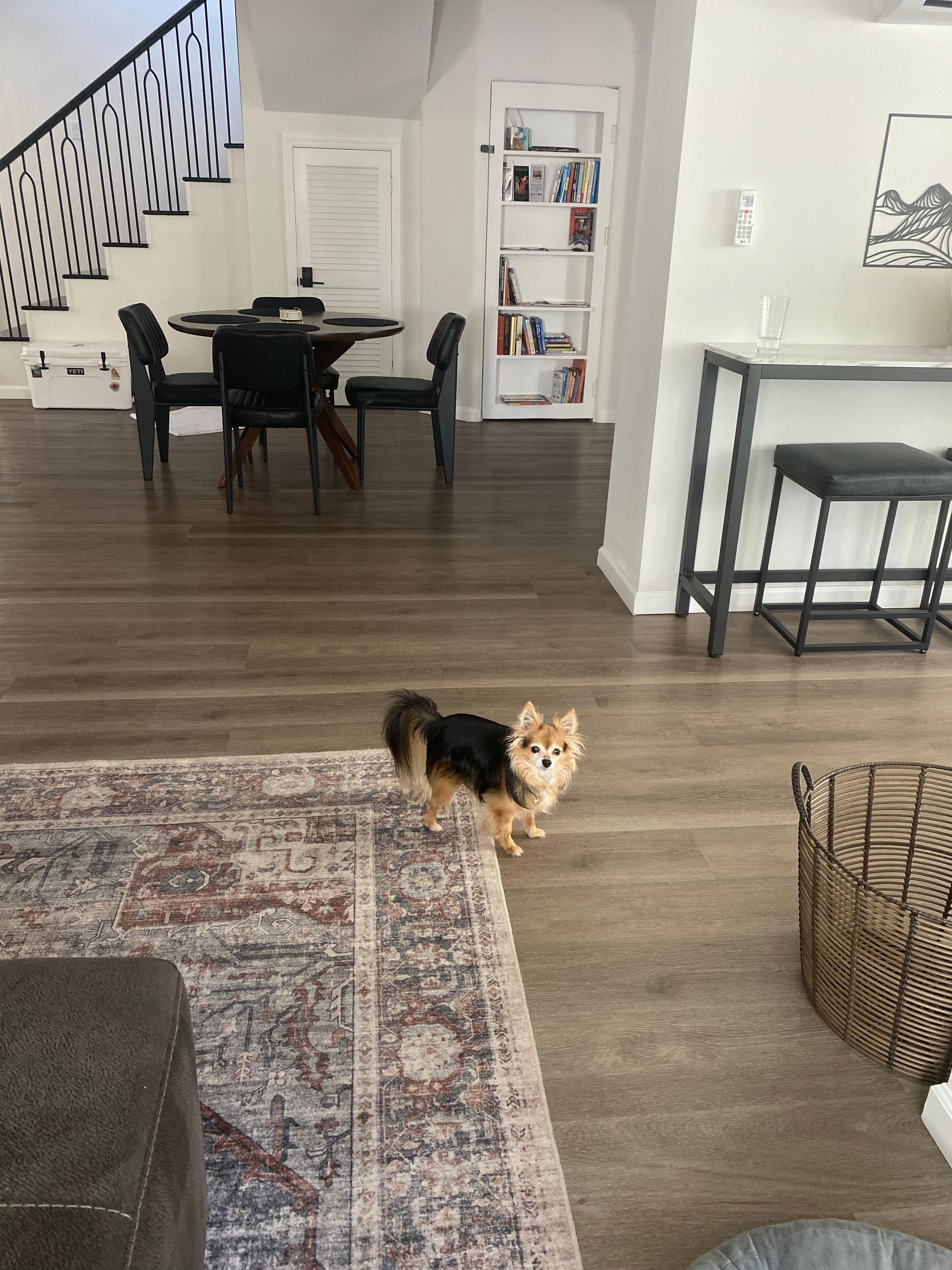 Additional dining area 