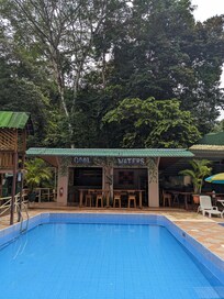 The adult pool