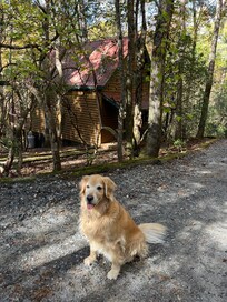 Beautiful cabin in the woods. 5 min walk in well maintained dirt/gravel road, 5 more mins walk to Hofbraühaus Restaurant and Betty’s supermarket and rest of Restaurants and shops.