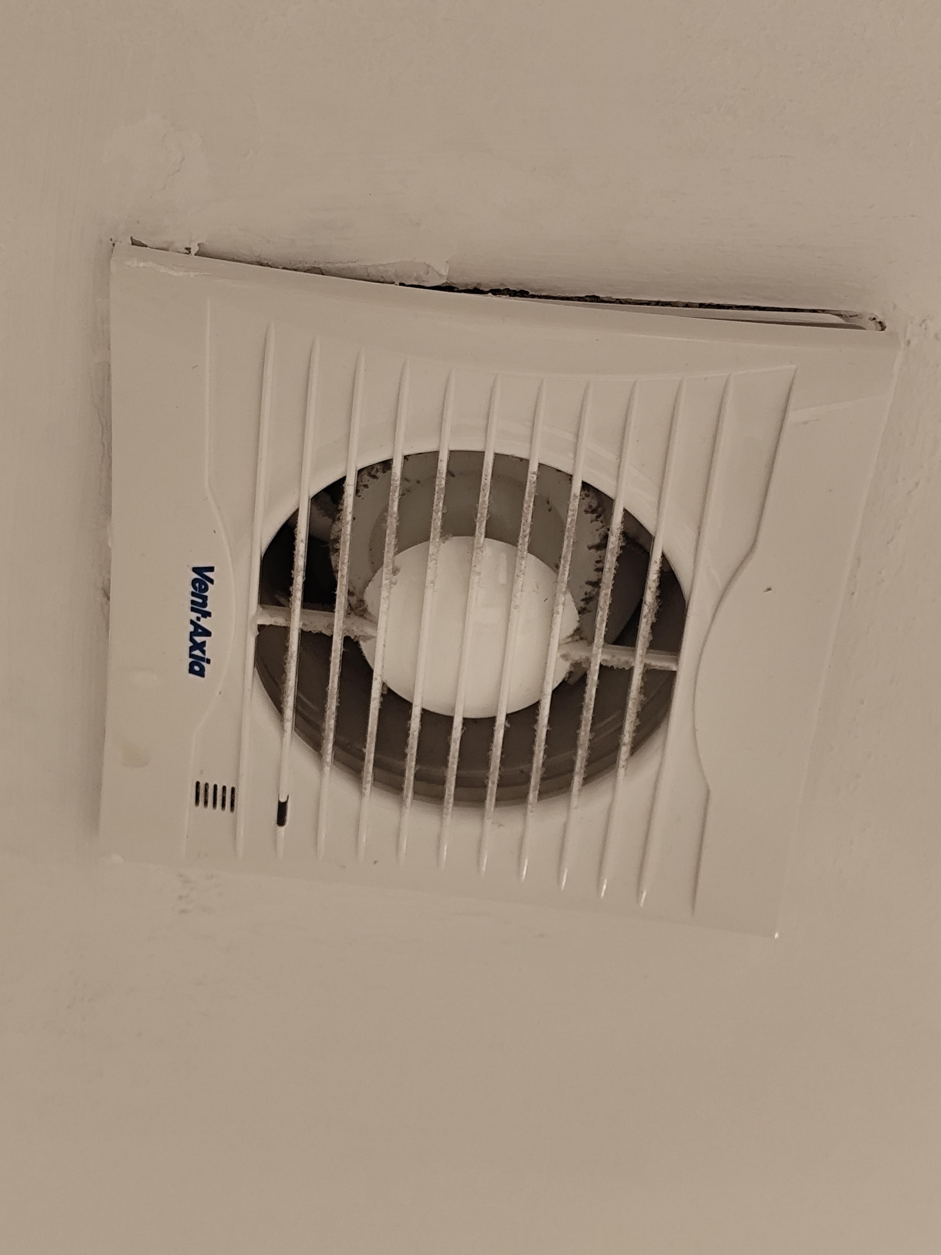 On the right you can see it's slightly come away from the ceiling and on the left you can see drips of water.