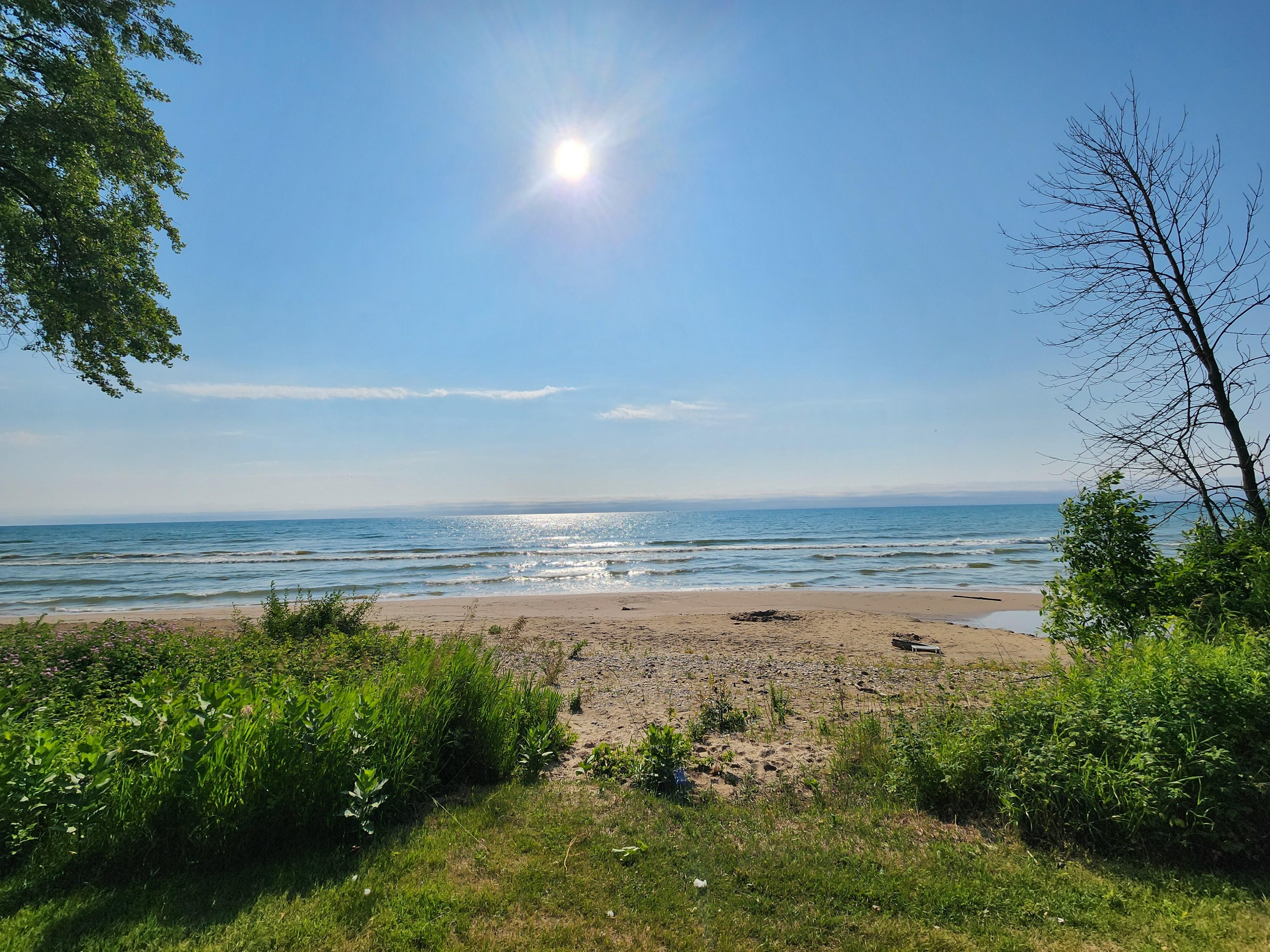Another beautiful view from the backyard.