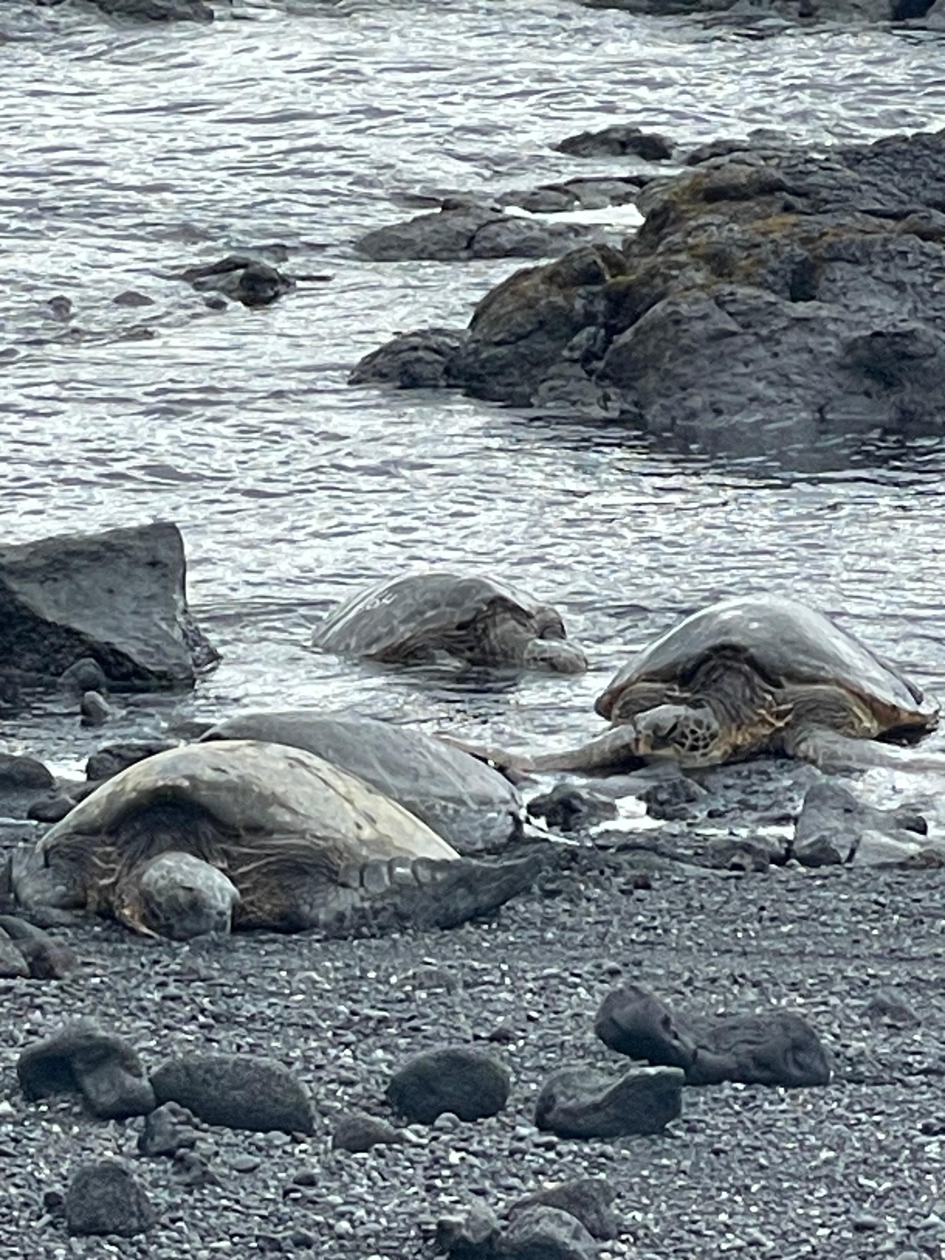 Black sand beach 💕