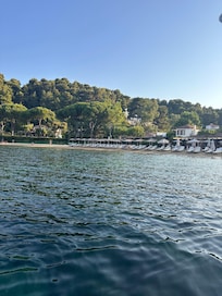 Water taxi views