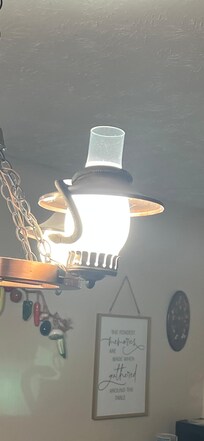 Cobweb on light in kitchen and yes there was a snake hanging on it