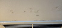 Mold