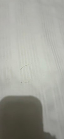 les cheveux dans le lit