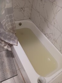 Sewage water backed up in tub