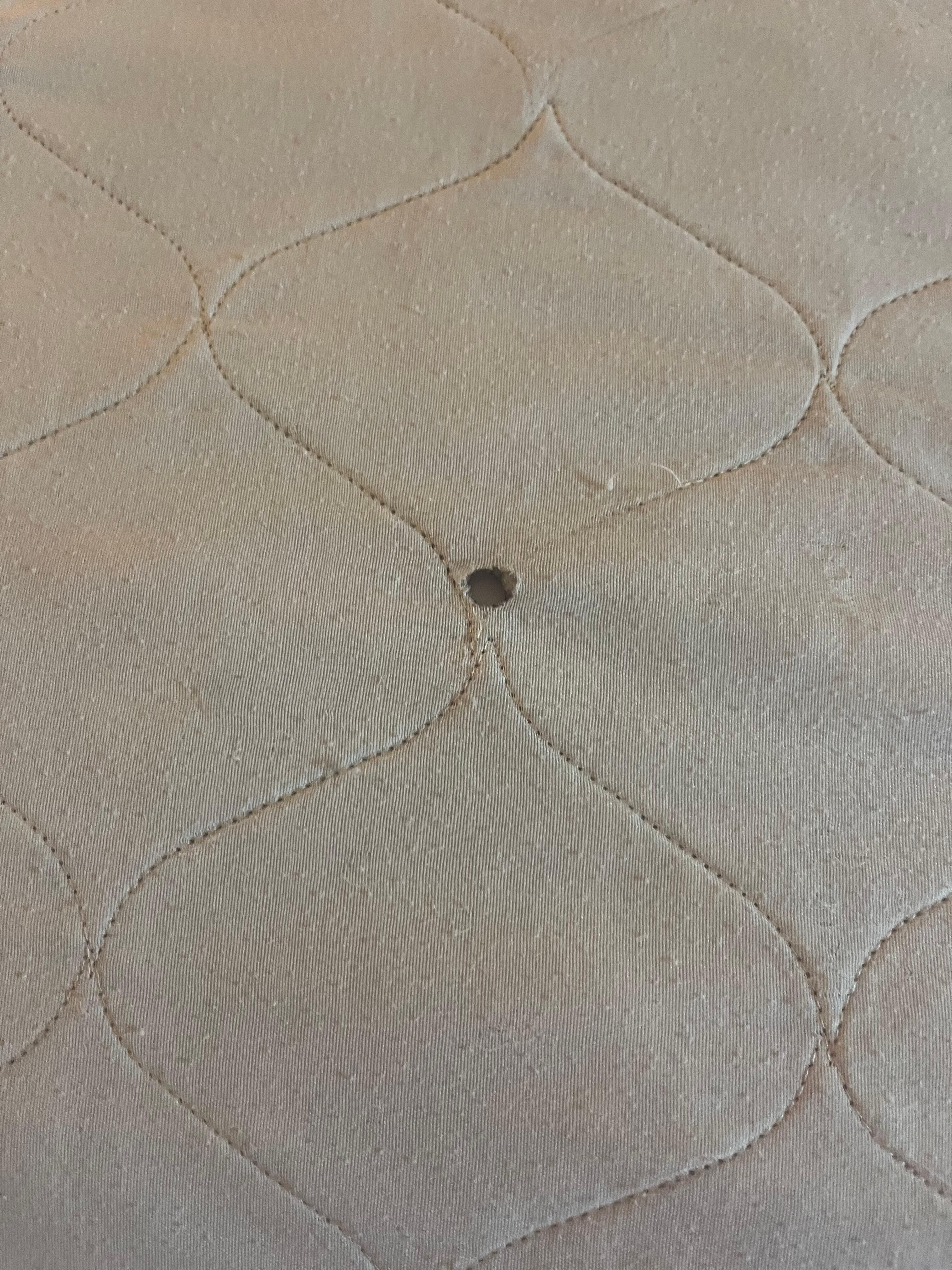 comfortor