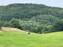 Blick von der Straße