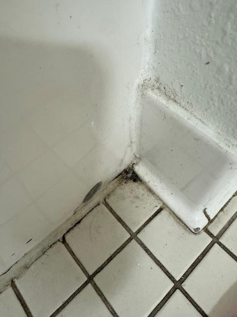 Just one of the many issues with cleanliness. This the bathroom, all corners were like this.