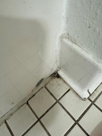 Just one of the many issues with cleanliness. This the bathroom, all corners were like this.