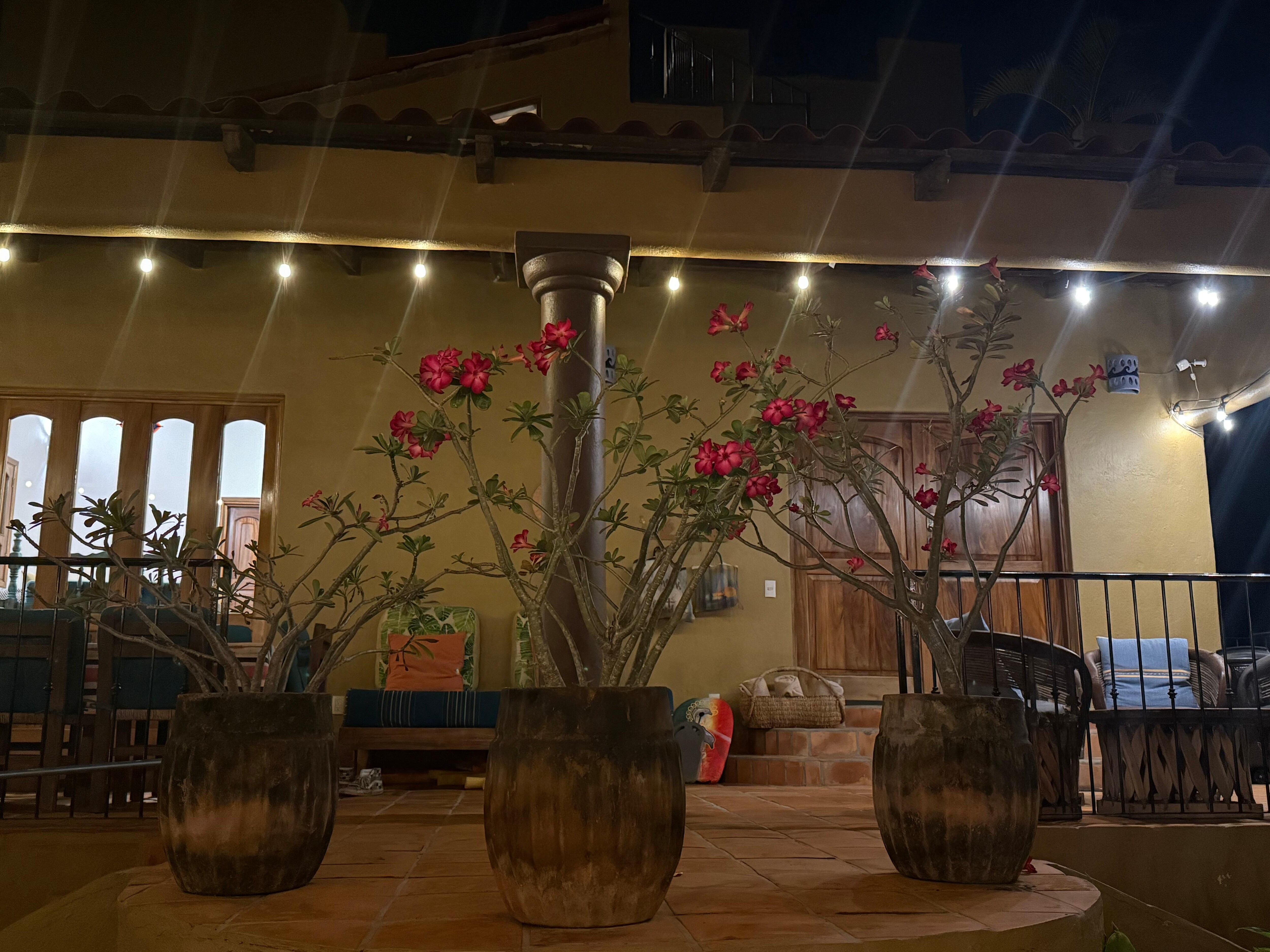 Such a beautiful home