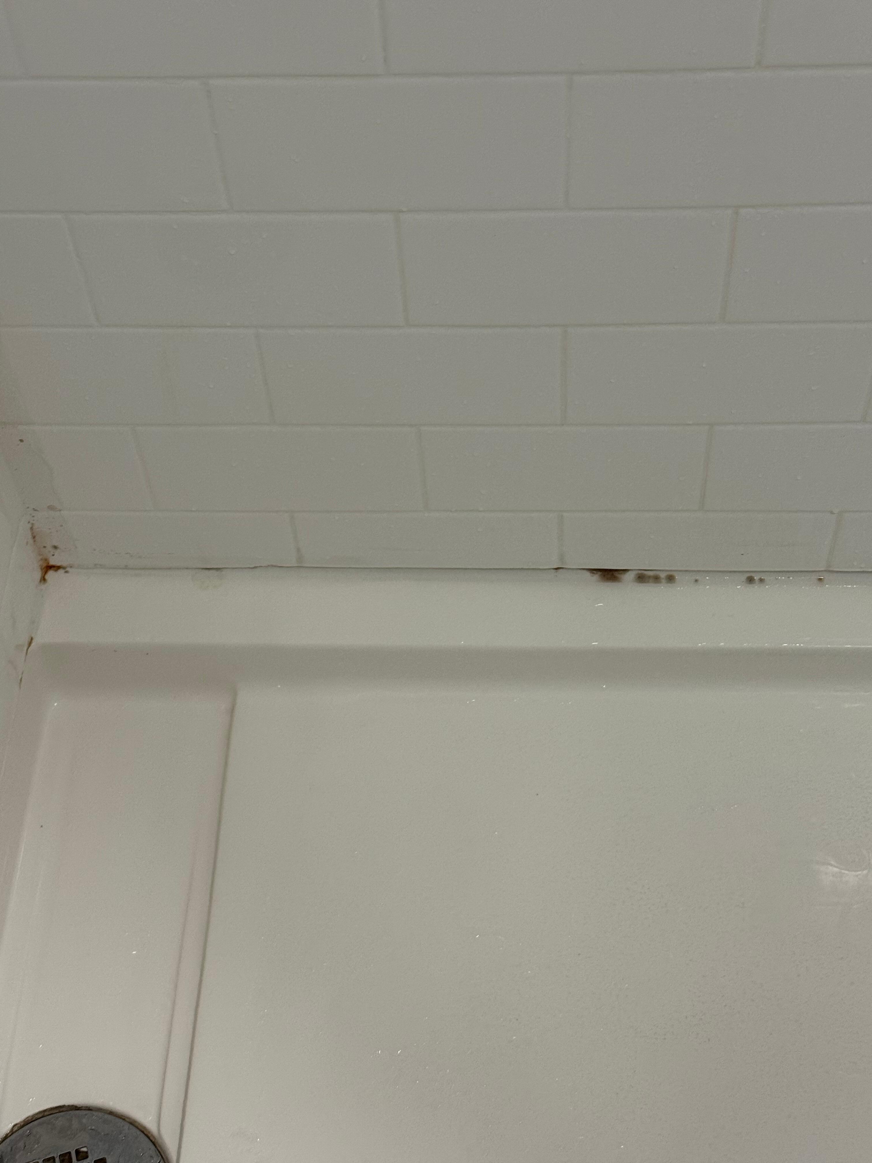Mold/mildew in shower