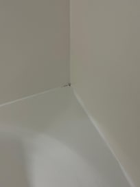 Black mold
