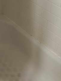 Moldy tub surround