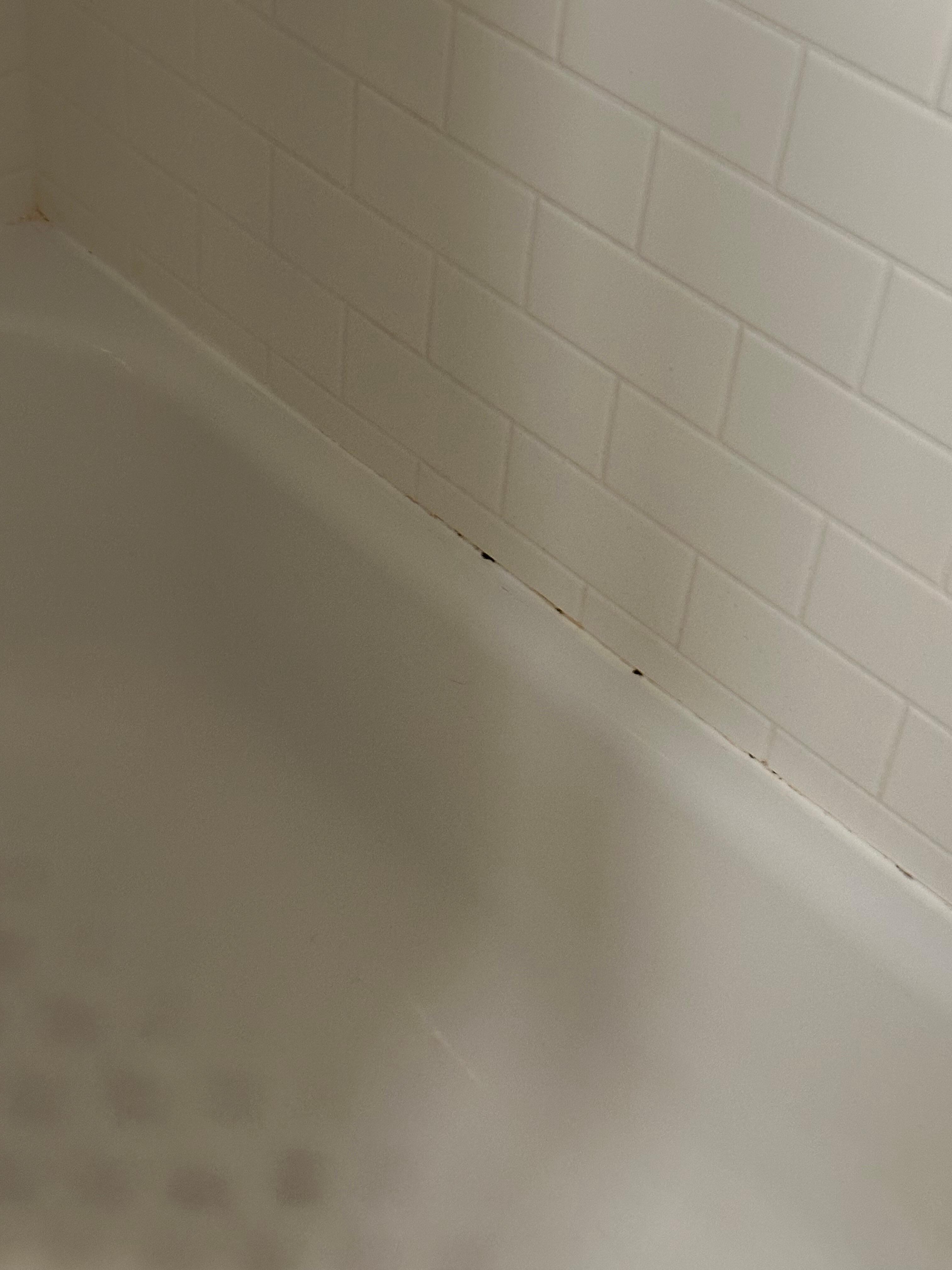 Moldy tub surround
