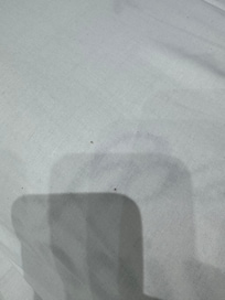 Wood dust in my pillow