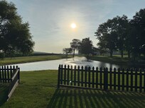 View of the back yard