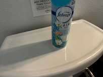 Hairs, dirt, and dust on all surfaces. It was easiest to capture a photo of it on the white toilet top. but this is what all surfaces looked like in the home.