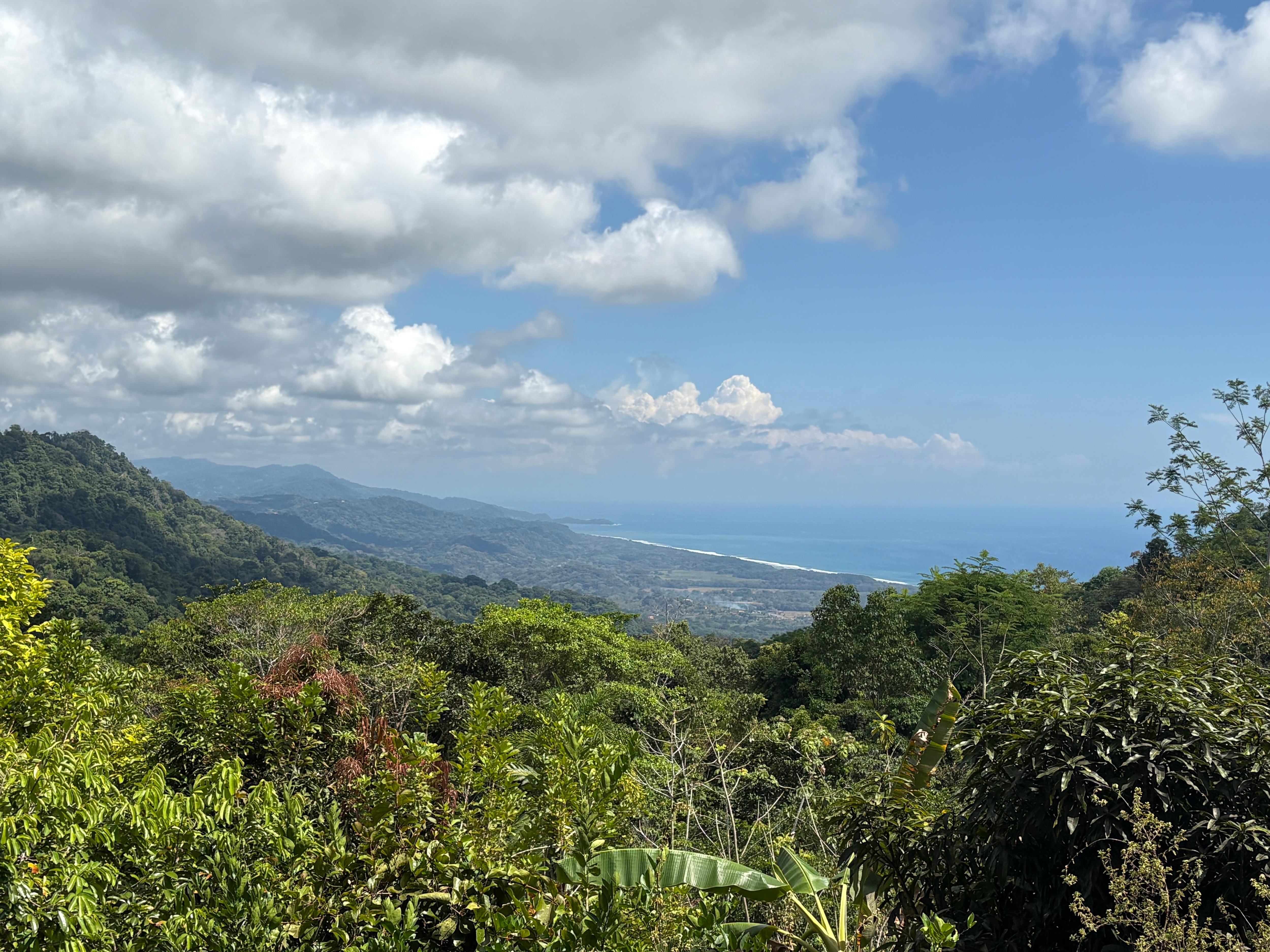 View of the beach from the dining area. 