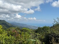 View of the beach from the dining area.