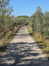 Road to Villa