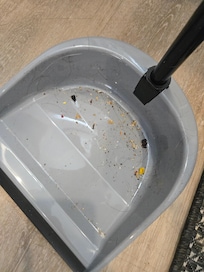 Just from the "clean" kitchen day one. No mop so we used the one wash cloth to scrub the floor. Disgusting