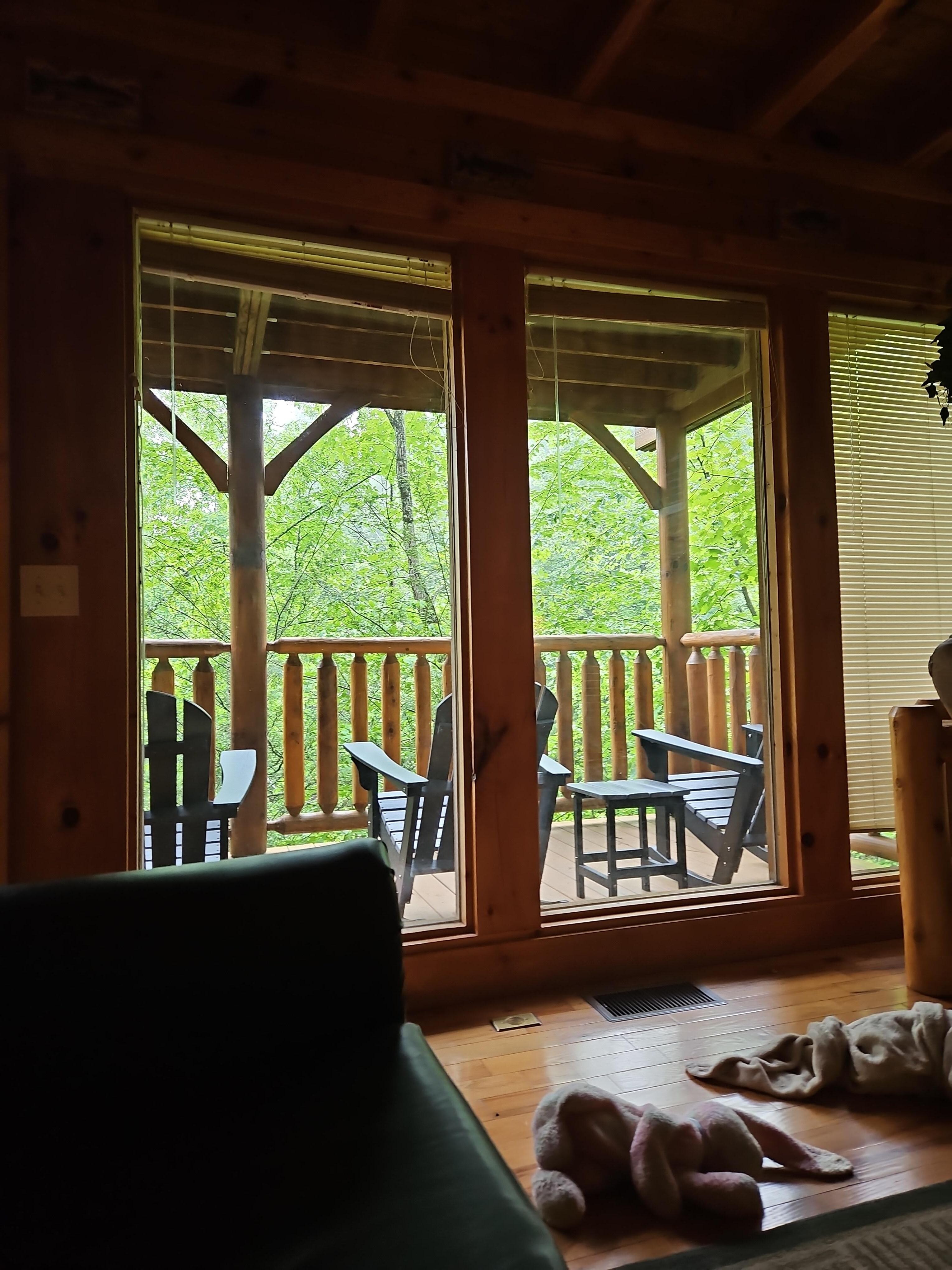 Morning views