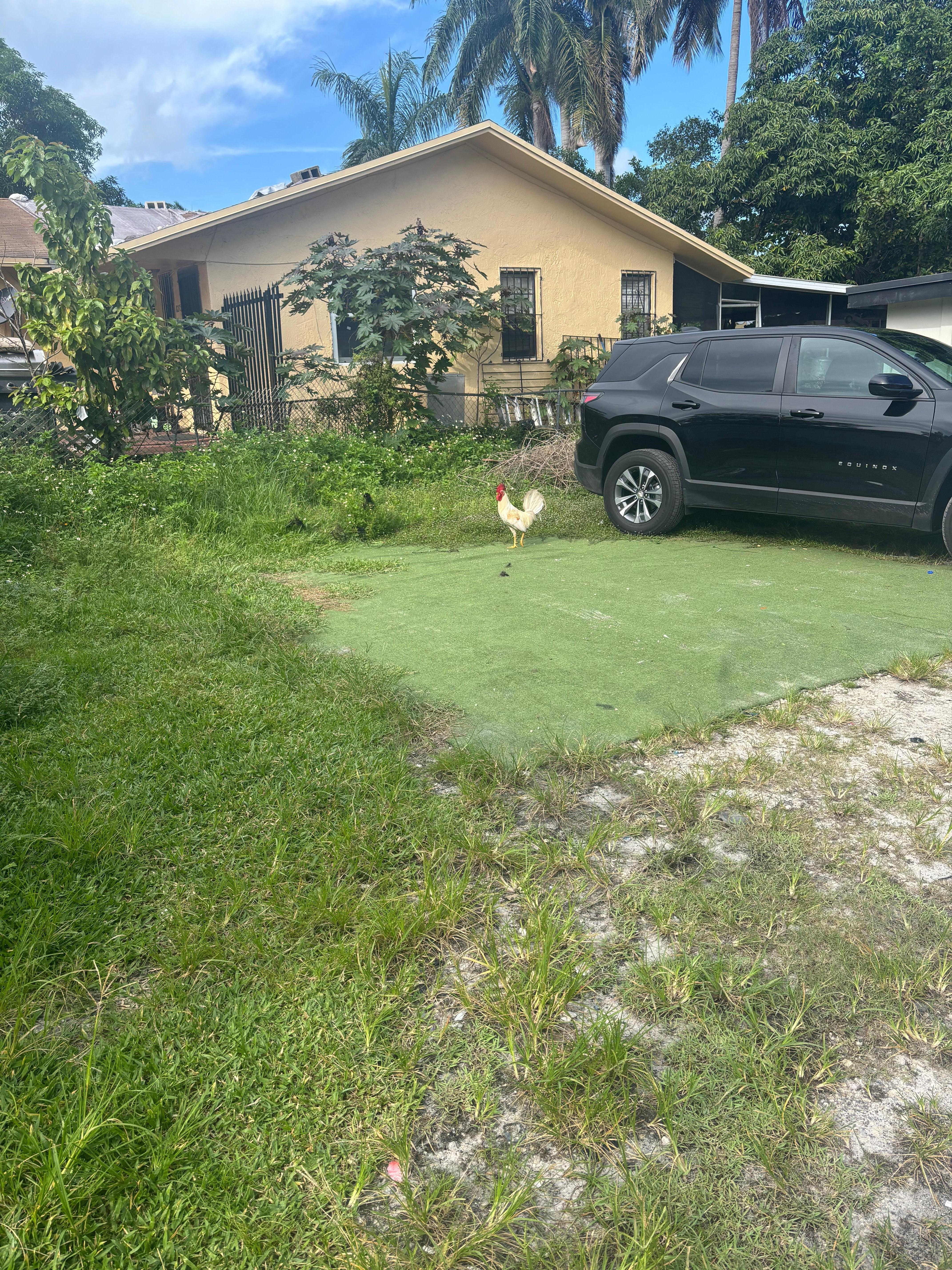 Where he could have parked but he was being petty :)