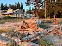 Beach front