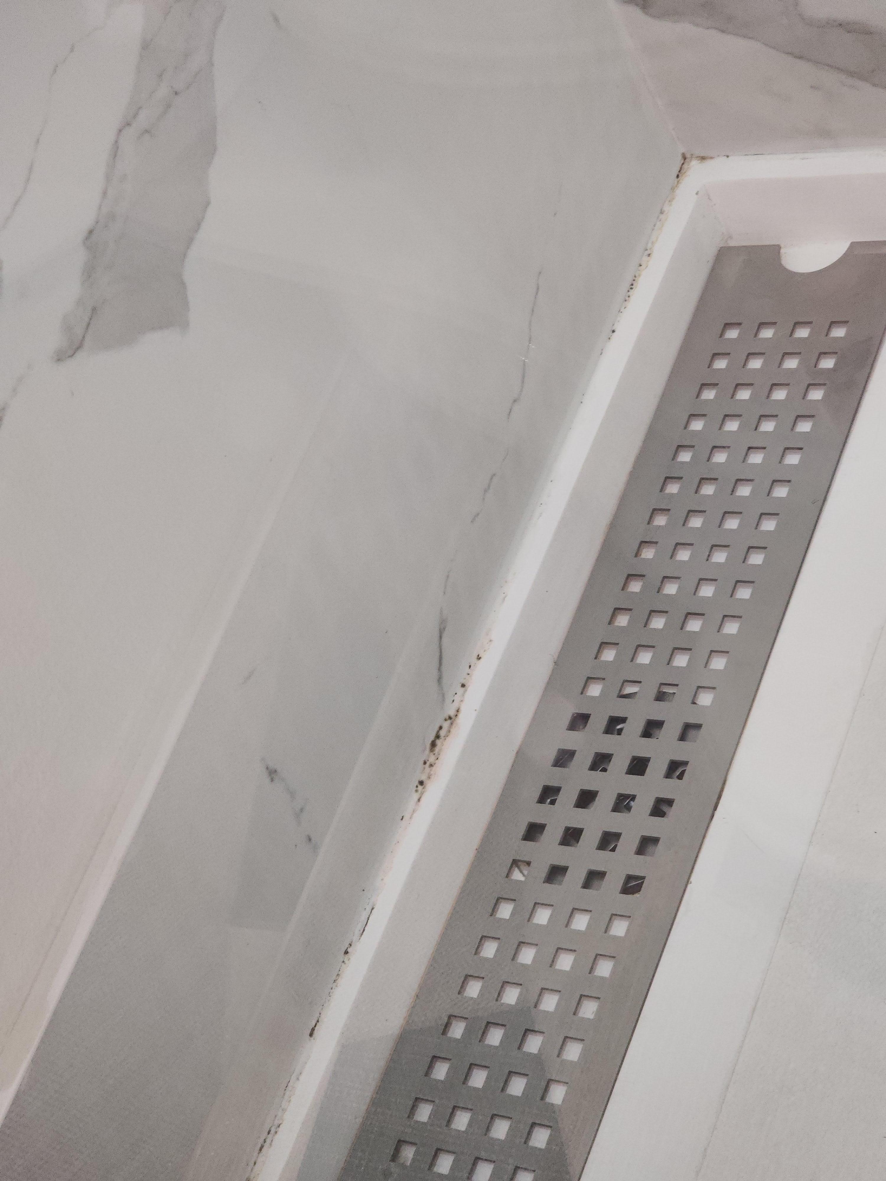 Mold in shower 