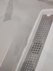 Mold in shower