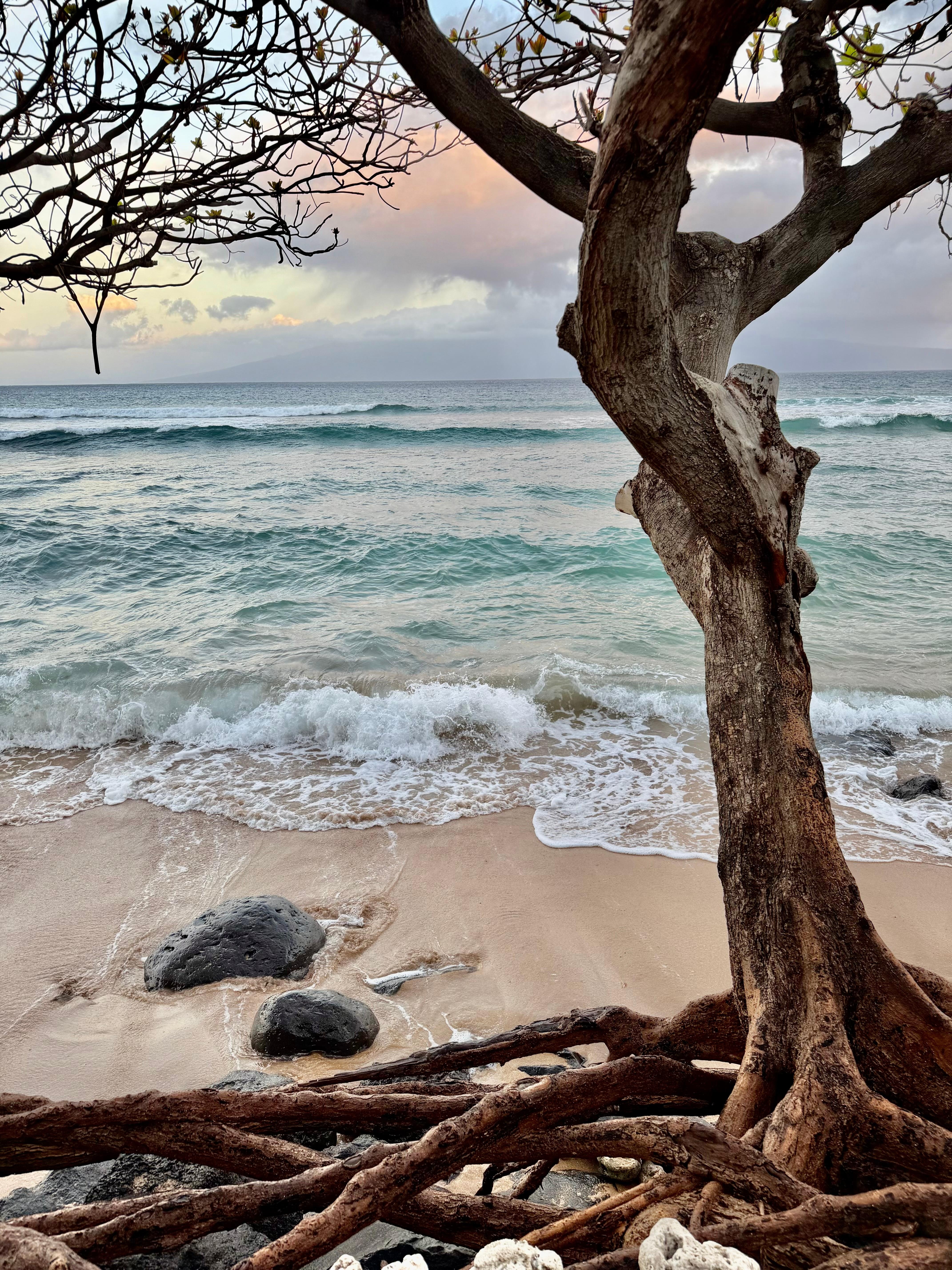 Part of your view from the property 