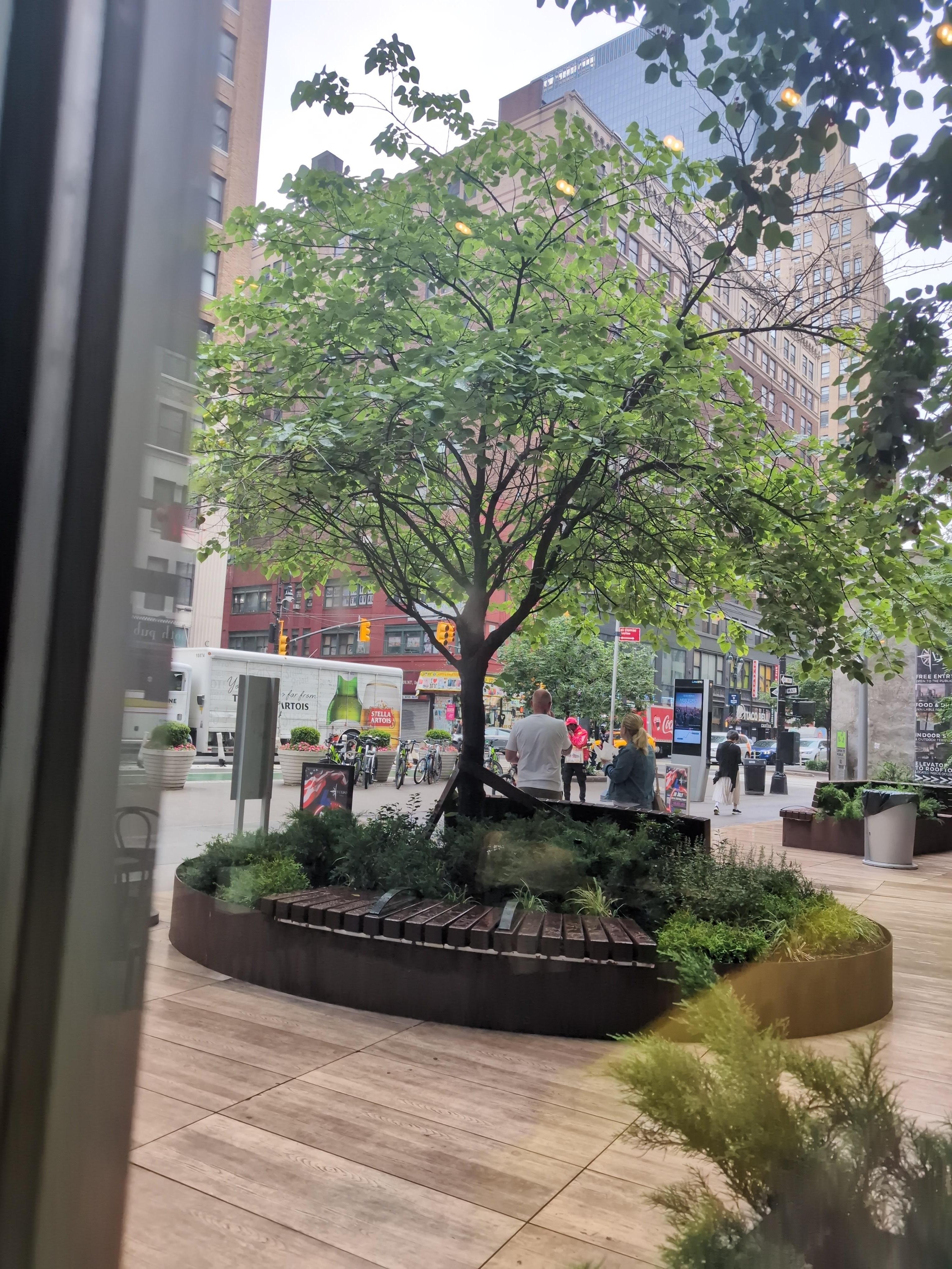Outside the hotel