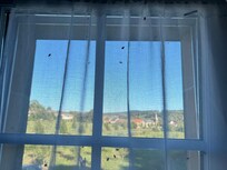 Large welcoming committee of flies. There are no screens so I couldn't keep windows open. Pasture across the way. Particularly loud buzzy flies. But there is a fly swatter there.