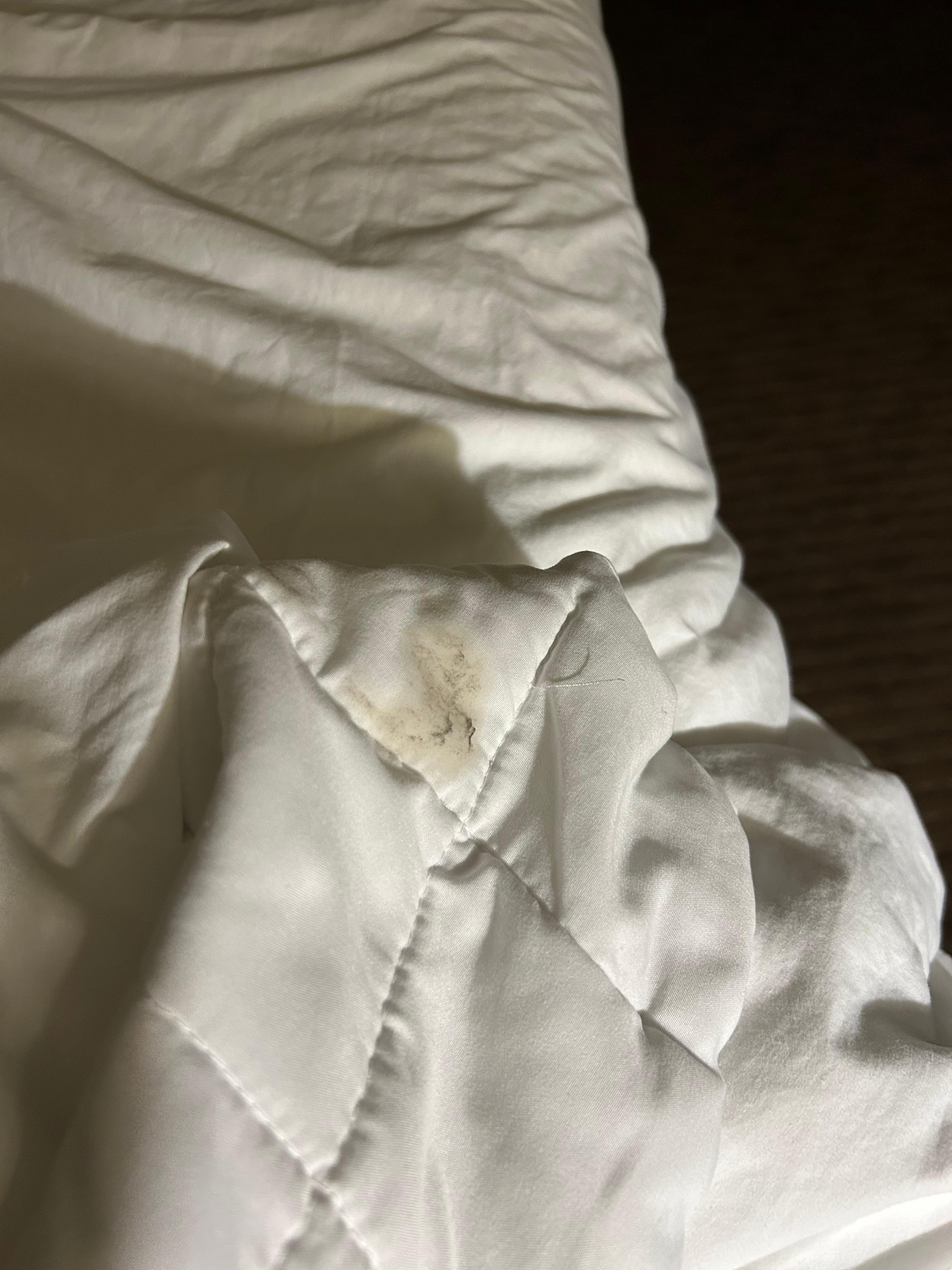 A used bandaid
