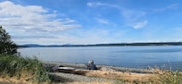 my view at Heron's Landing