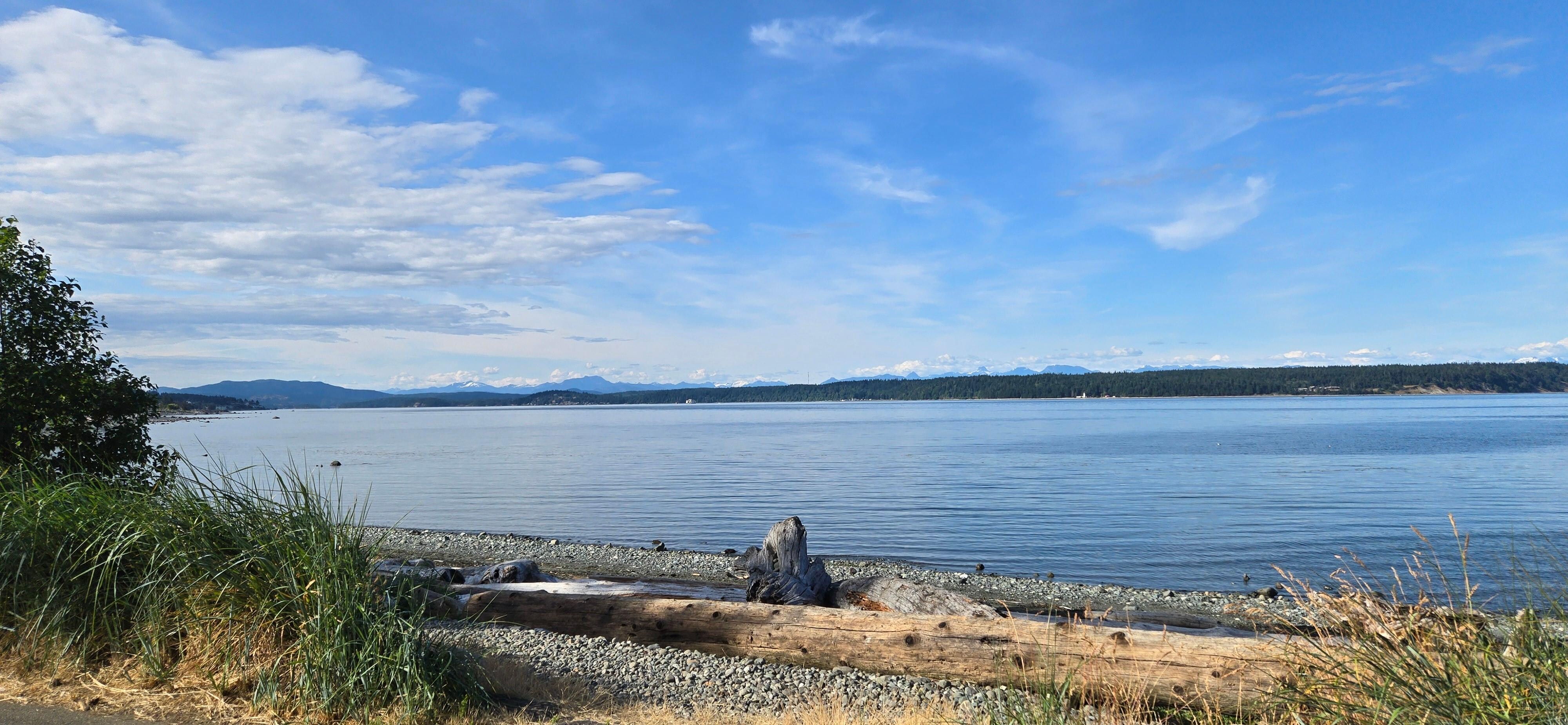 my view at Heron's Landing