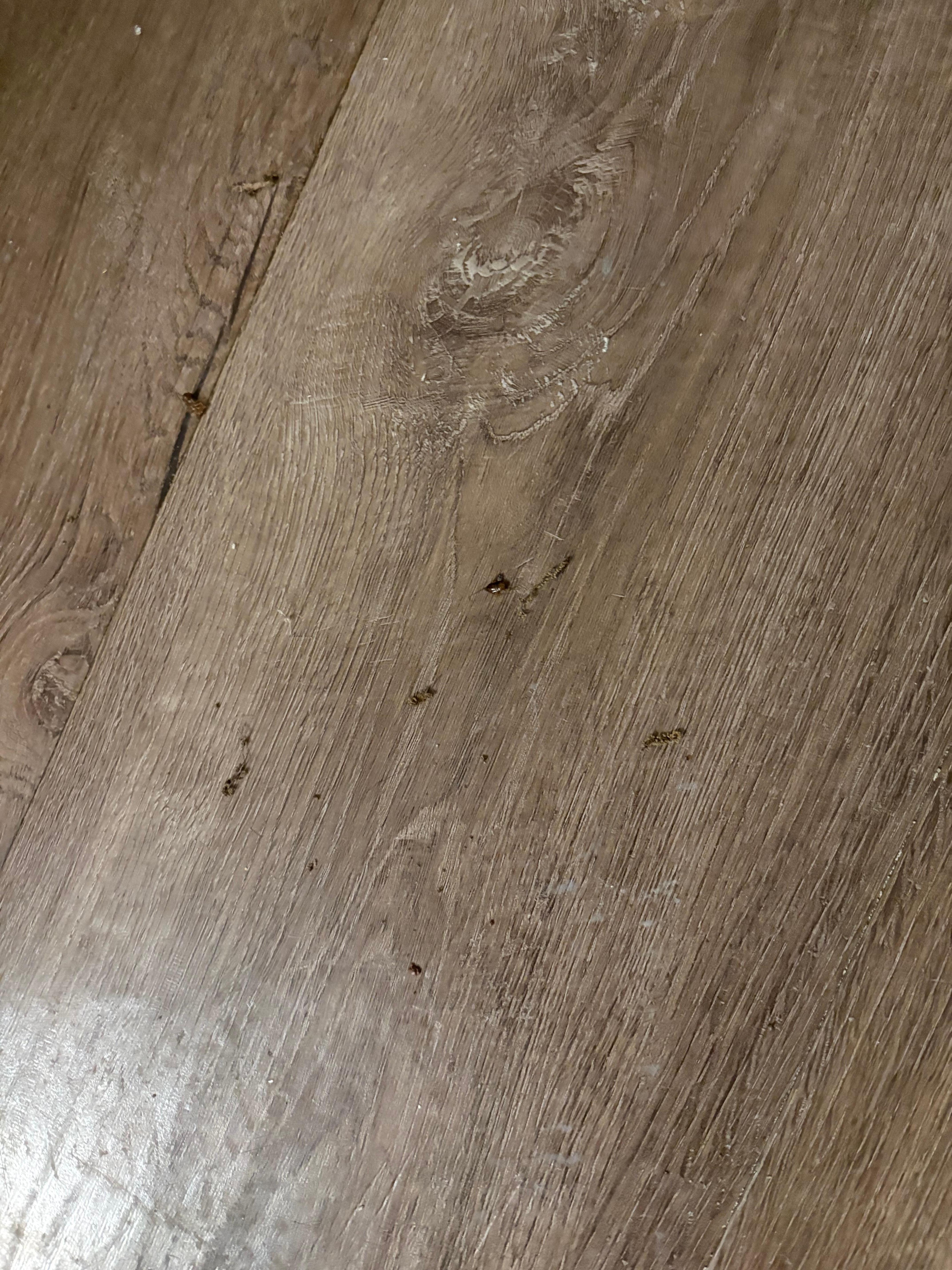 Roaches in the bathroom 