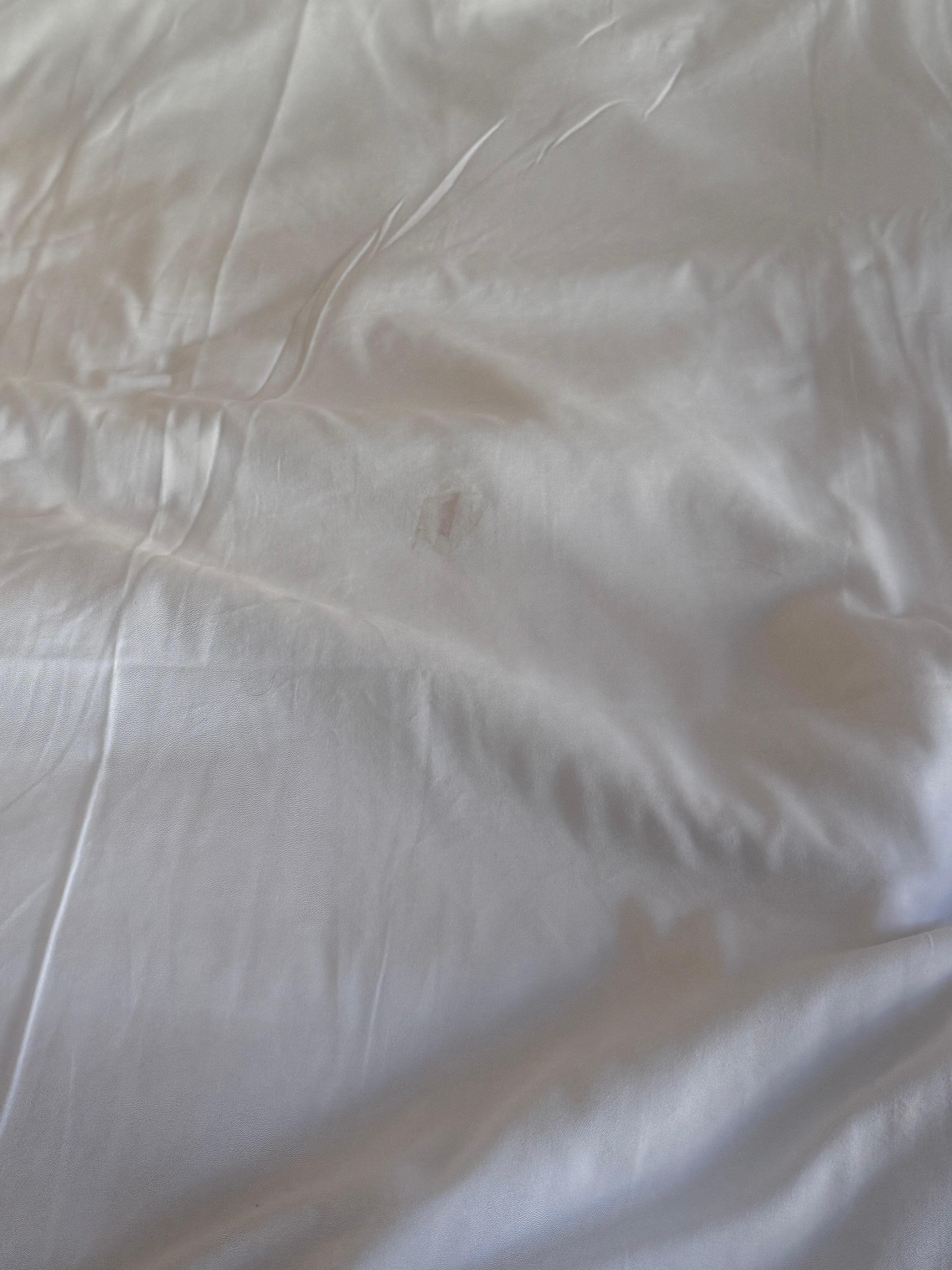 Feces stain on the bed