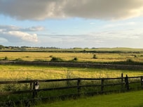 View from driveway