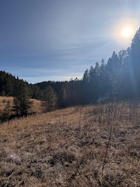Backyard, Wisp Creek