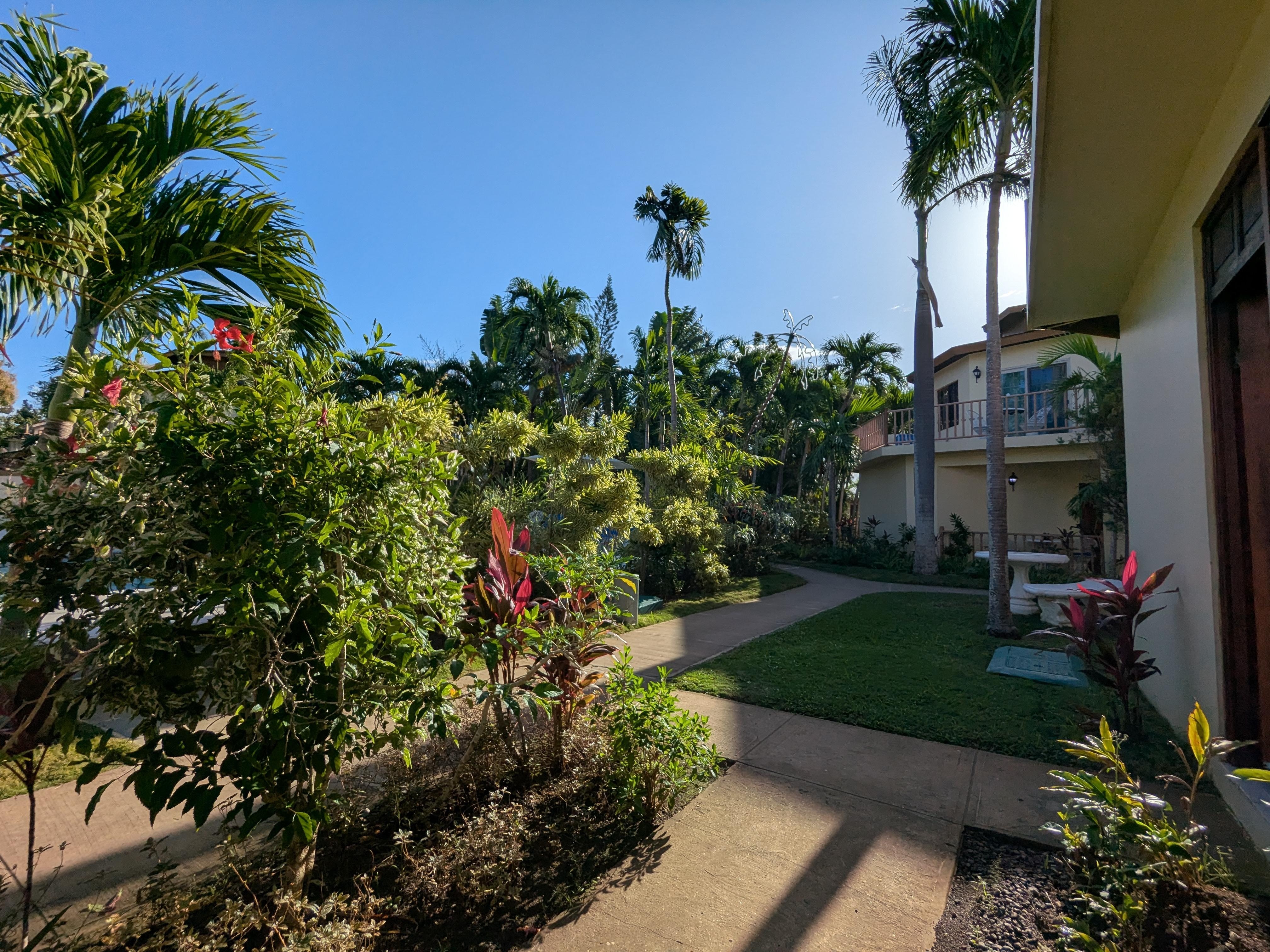 View from my outside sitting area.