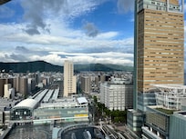 ć·ŠćŽć±±ăźæŻèČ