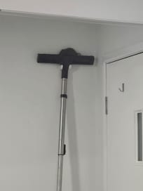 Rat sitting in the bathroom