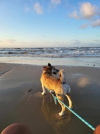 Very quick walk to beach