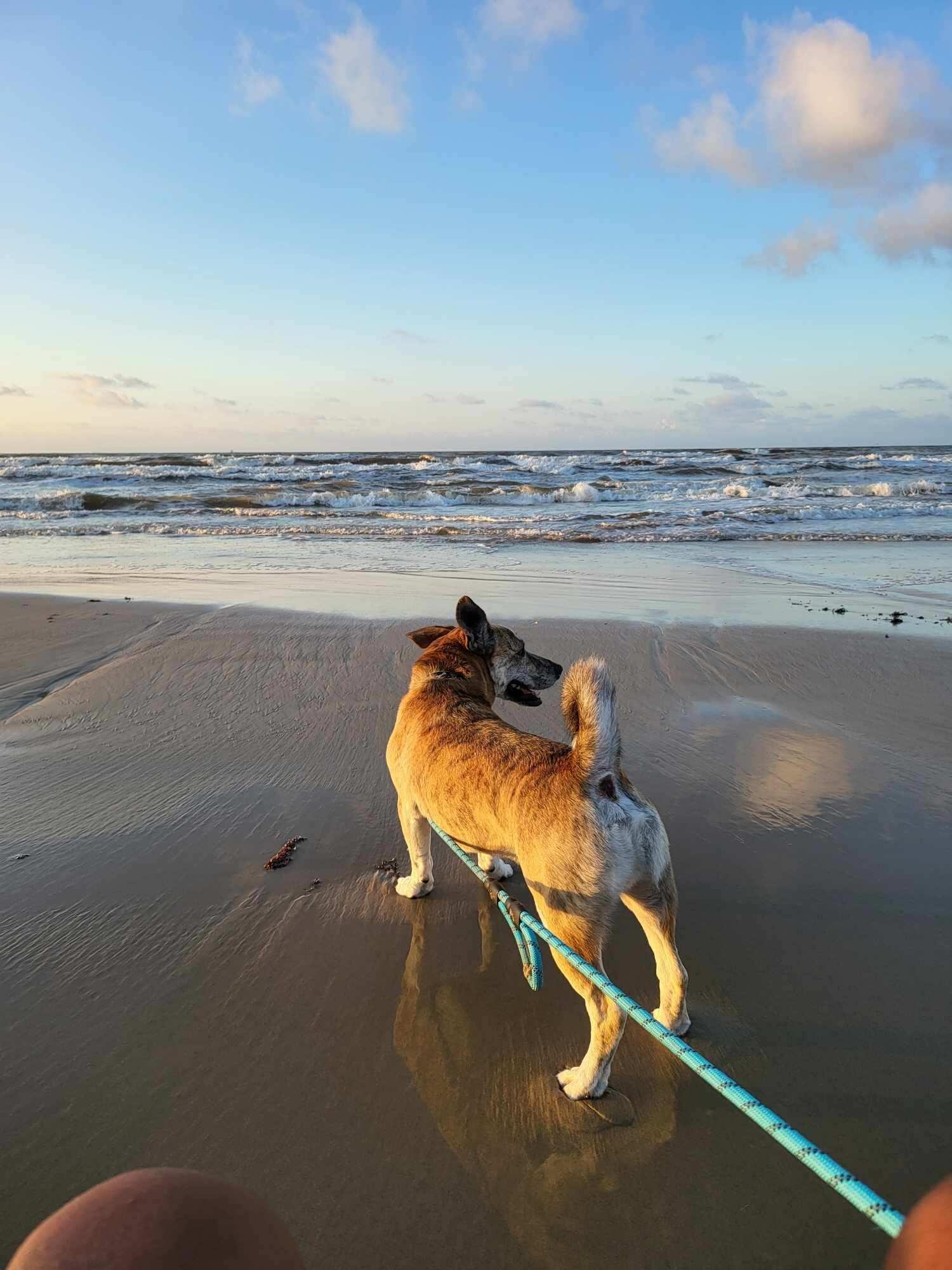Very quick walk to beach