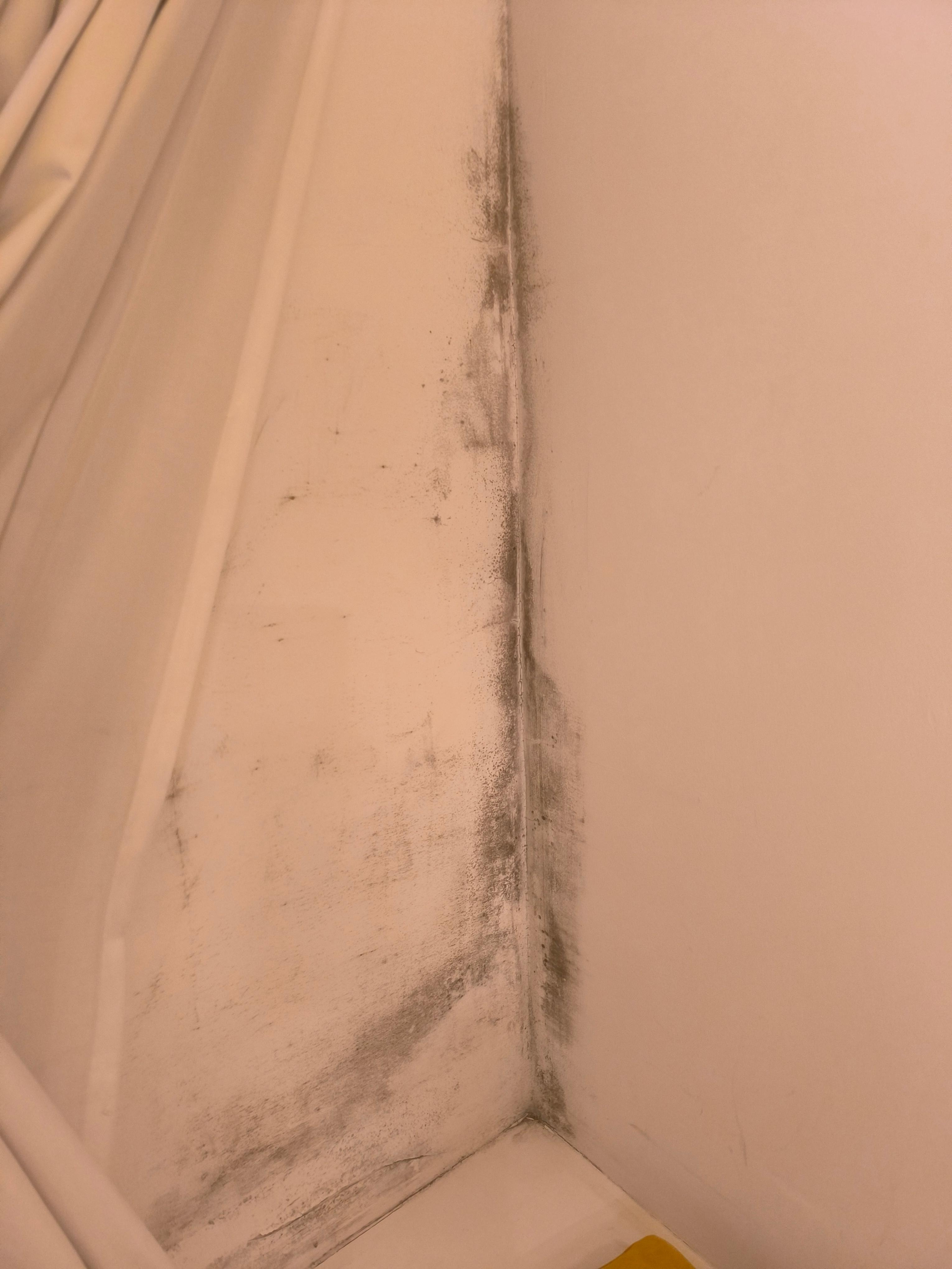 Schimmel aufgrund mangelnder Zimmerlüftung. Fenster könnte nicht geöffnet werden 