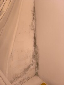 Schimmel aufgrund mangelnder Zimmerlüftung. Fenster könnte nicht geöffnet werden